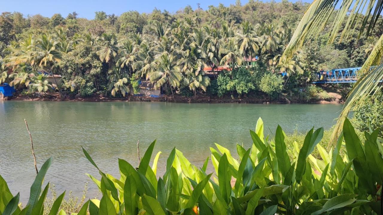 Pont Bleu Suites Riverside & Pool كِناكونا المظهر الخارجي الصورة